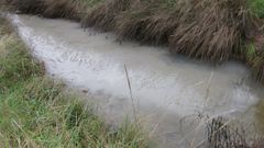 Vertidos en la R�a de Villaviciosa.