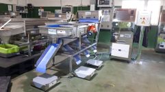 Parte de la nueva maquinaria, m�s eficiente, para mejorar la actividad de la lonja de Campelo