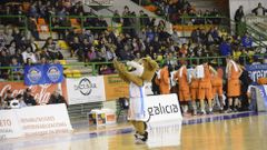 B�scate en las gradas del COB