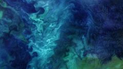 Explosi�n de plancton en el Atl�ntico norte desde el espacio