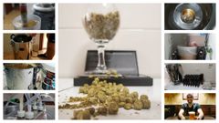 Pasos de la elaboraci�n de cerveza casera