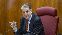 Caballero, en un pleno