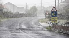 La acumulaci�n de nieve dificult� el tr�nsito de veh�culos en muchas zonas de la provincia de Ourense.