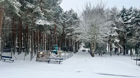 Imagen de archivo de la nieve en Manzaneda