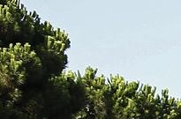 Vivienda de la familia asesinada en Castelldefels