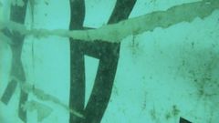 Encuentran la cola del avi�n de Air Asia