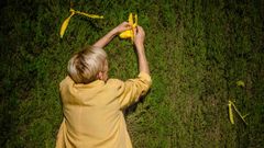 Los lazos amarillos llegan a la Fiscal�a