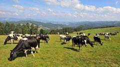 Los socialistas reclaman atenci�n para el rural de la comarca de Ortegal