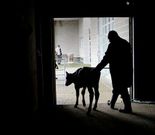 El paro baj� en todos los sectores incluido el agropecuario.