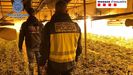 Desarticulada en Oviedo y Gij�n una gran red china que produc�a marihuana en naves industriales