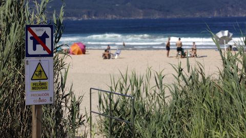 En imagen de archivo, cartel en la playa de Esteiro, en Xove, advirtiendo de la presencia de falsas medusas en el agua