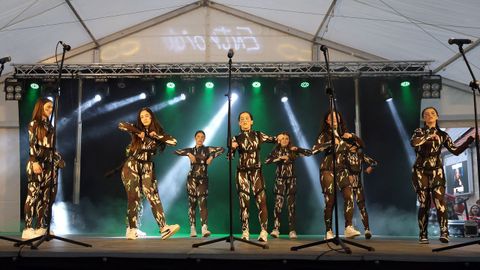 MARTES DE CARNAVAL  concurso y desfile de murgas