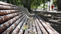 As defecacins dos estronios tinguen de branco os bancos prximos ao estanque dos patos no parque de Rosala