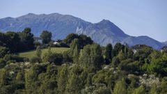 Vista del bosque a las afueras de la ciudad de Oviedo este mircolesesta maana. La Agencia de Meteorologa (Aemet) hace balance climtico del verano en Asturias y ofrece una prediccin estacional para el otoo, que comenzar el prximo 22 de septiembre y se prolongar hasta el 21 de diciembre con la llegada del invierno