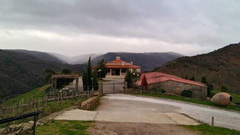 Regina Viarum (Sober). Degustaci�n desde 1 euro. Menc�a, godello, tempranillo.