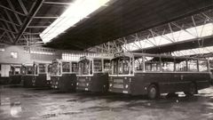 Autobuses da Compañía de Tranvías da Coruña no ano 1977