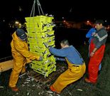 Descarga de pescado en Ribeira en enero pasado.