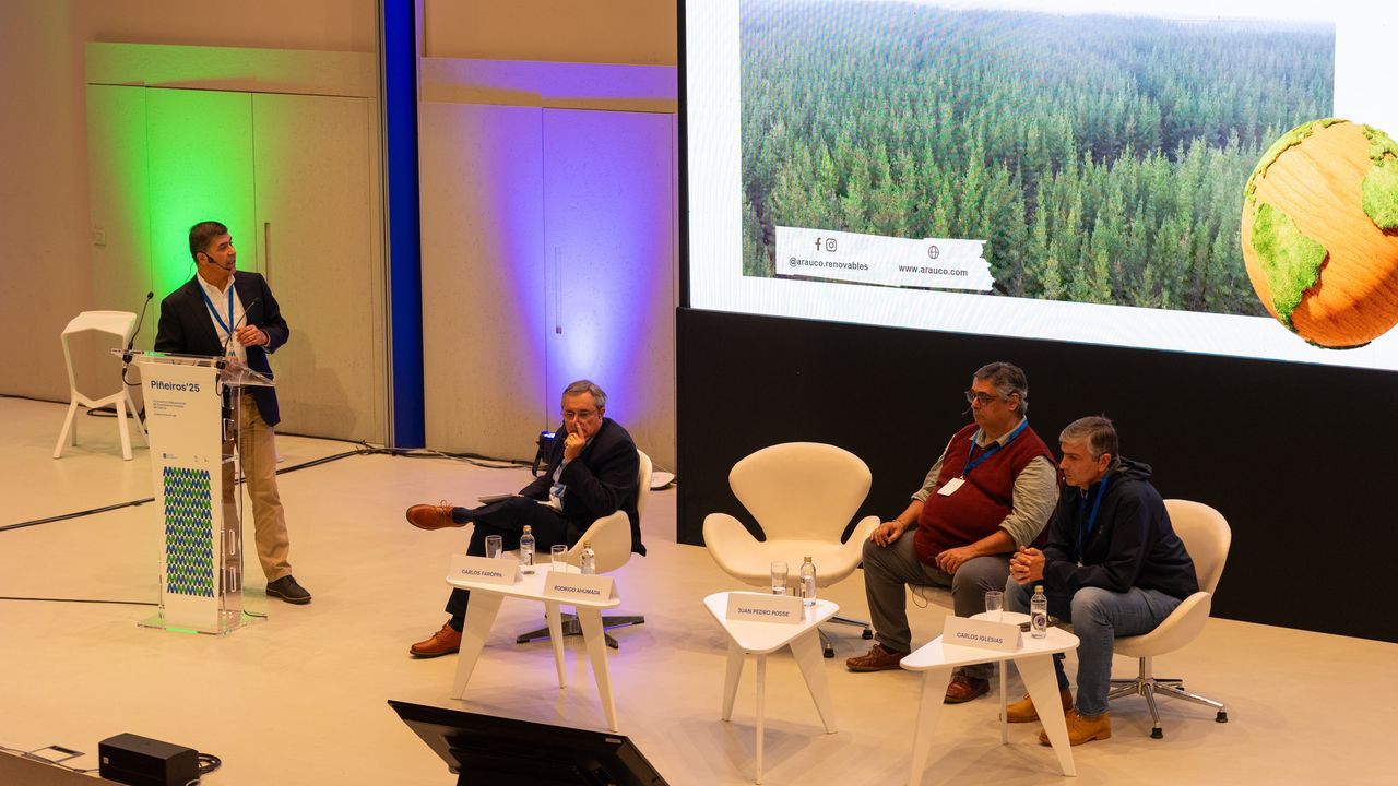 Control de la enfermedad, mejora genética y elegir los lugares de plantación: la fórmula de Chile para combatir la enfermedad de las bandas en el pino