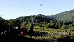 El dron, sobrevolando una vi�a en A R�a