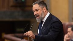El presidente de Vox, Santiago Abascal, interviene durante el pleno celebrado en el Congreso.