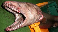 Una hembra de 177 cent�metros