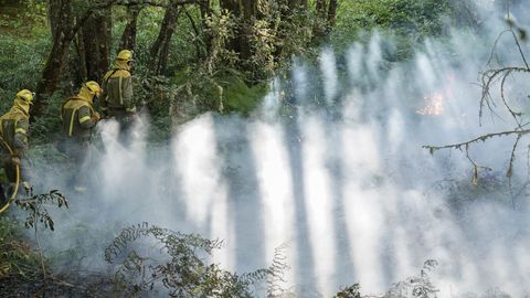 El incendio de To�n sigue activo