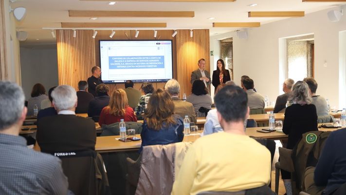Imagen de la reuni&oacute;n de la conselleria con los distritos forestales, este jueves.