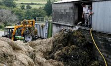 Los vecinos tuvieron que retirar de nuevo toneladas de hierba para extinguir las llamas. 