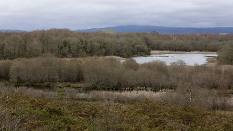 Zonas de observacin de aves en la laguna de Cospeito