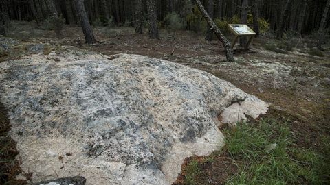 Roca de Laxa da Carreira, con un conjunto de petroglifos descubierto hace seis aos