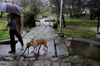 <span lang= es-es >Un paseo mojado por el parque de A Coca</span>. A pesar de las tormentas, la vida sigue y hay quien se aventura a pasear por los parques de la comarca. En algunos de ellos, como este de Vilagarc�a, los regatos segu�an bajando ayer completamente llenos de agua, amenazando incluso con desbordar.