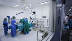 Operaci�n de un gato en uno de los quir�fanos del Hospital Cl�nico Veterinario Rof Codina, de Lugo, en una imagen de archivo.