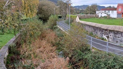 R�o Basteiro a su paso por Neda. 
