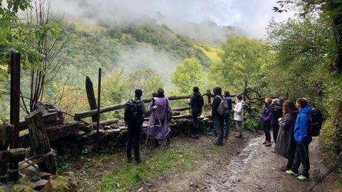 Una de las actividades organizadas por Aller Experiencias para avistar venados durante la berrea