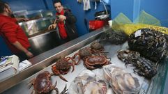 Productos legales, entre ellos vieira, despachados en la fenesa Mariscos Rioboo