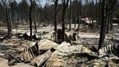 Un �rea quemada en el Parque Natural del Valle de Irruelas, arrasado por el incendio de Burgohondo, en �vila