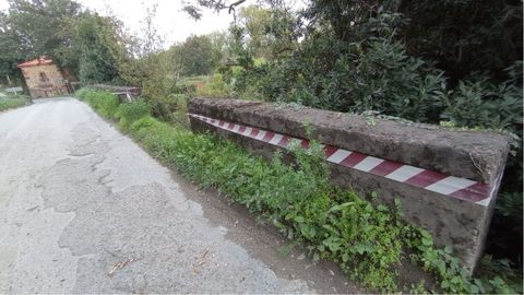 La maleza va ganando protagonismo�en el puente