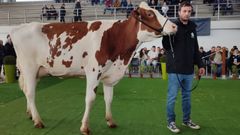 Cundins Amapola Unstopabull el pasado fin de semana en Santa Comba