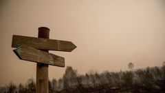 Las fotos que muestran los estragos de los incendios en Galicia