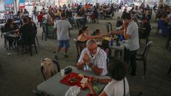 Palmeira no falla a su cita con la Festa do Polbo