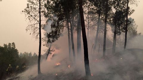 El fuego en Barxa, Chavaga