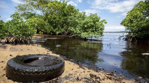 El avance del desastre ecolgico oblig al Ejecutivo a declarar el estado de emergencia medioambiental por el grave riesgo que supone para los arrecifes, playas y albuferas cercanas