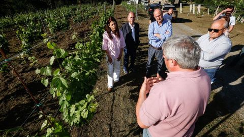 La conselleira de Medio Rural, durante la visita al vi&ntilde;edo