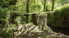 Im�genes de la ruta de A Ferrer�a do Incio