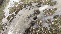 Imagen de archivo de un vertido en la zona de O Salti�o