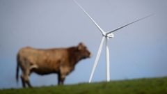 El sector e�lico se encuentra entre los que pueden impulsar Galicia