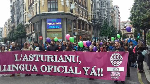 Manifestaci�n pola oficialid� del asturianu