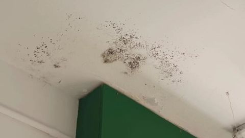 Desperfectos en el Labarta Pose