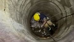 Momento del rescate de la oveja en San Marti�o, en Boiro
