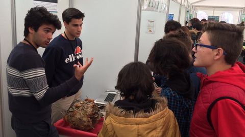 Pablo Fernández y Nuno Sinde en su stand de la feria científica Galiciencia